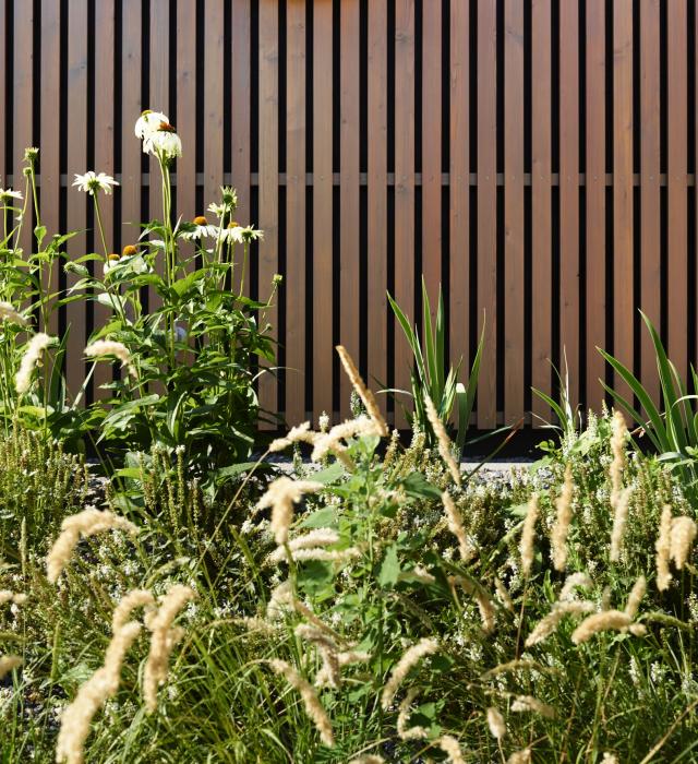 zahnkieferzentrum_0031