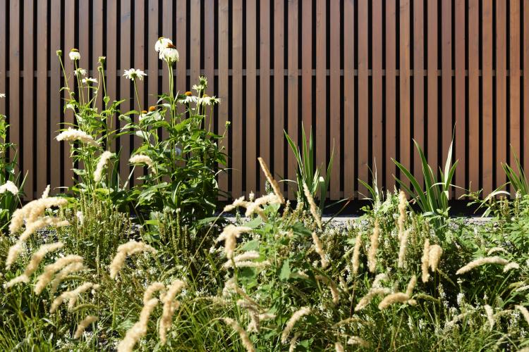 zahnkieferzentrum_0031