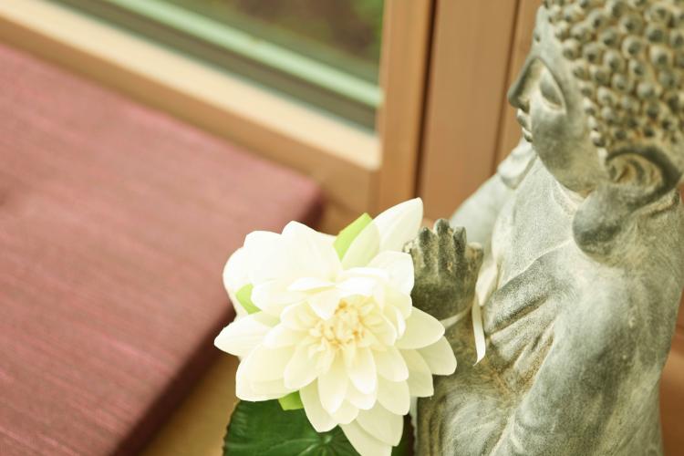 zahnkieferzentrum_0056